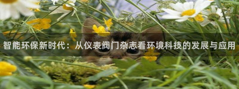 新宝gg游戏