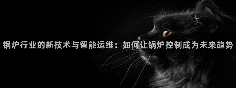 新宝gg套利