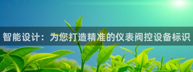 宝新gg