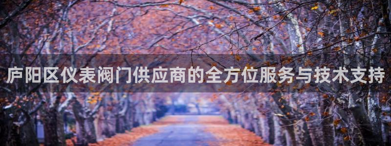 新宝gg入口网址