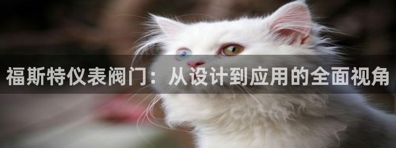 新宝gg直属上级