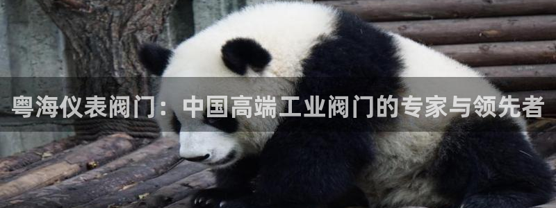 下载新宝gg