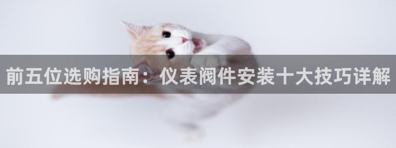 新宝创造Gg