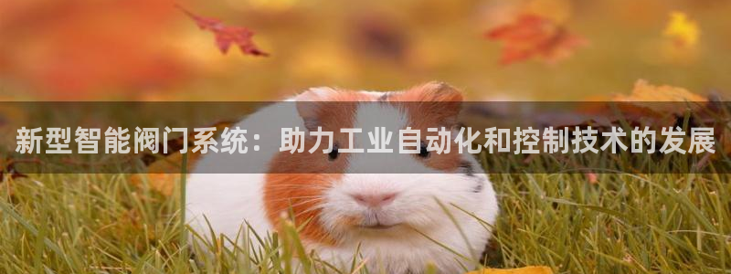 新宝gg下载官网下载