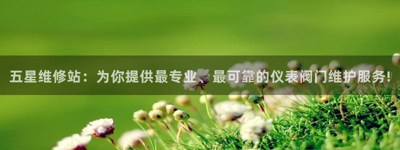 新宝gg登陆新