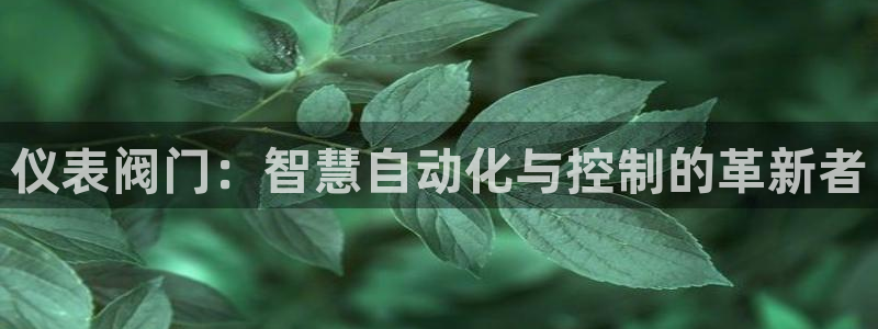 新宝gg手机版下载