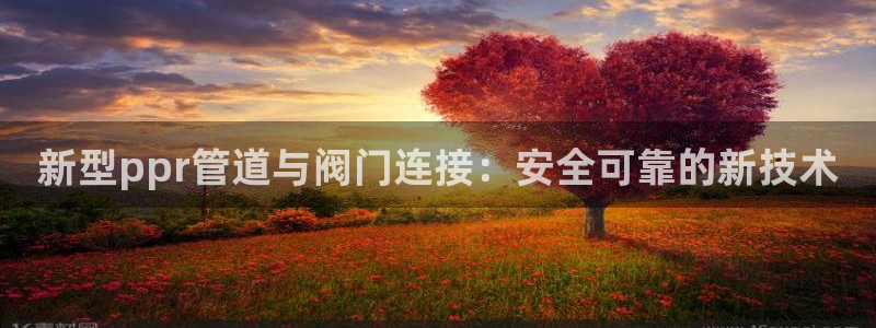 新宝gg龙虎