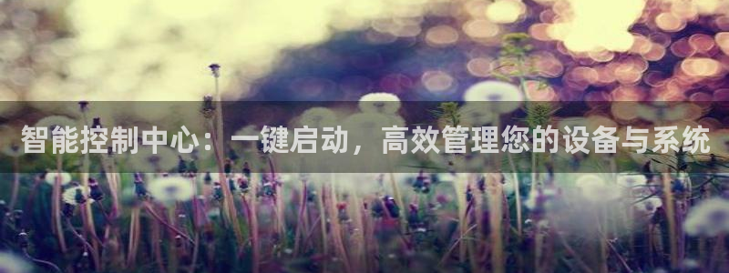 新宝gg龙虎规则