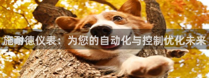 新宝g新宝gg