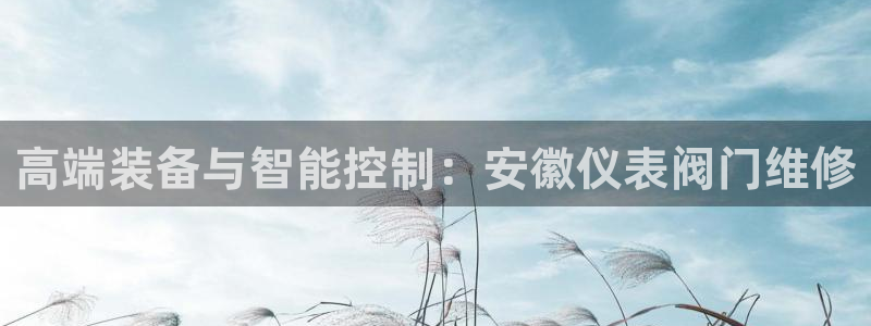 新宝GG绿色