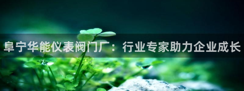 新宝gg开好