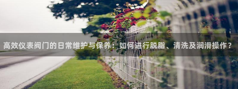 新宝GG绿色