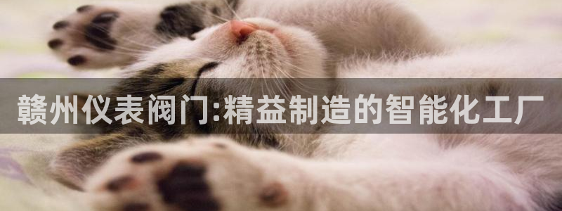 新宝gg如何代理
