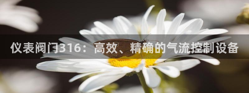 新宝gg平台开发