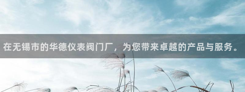 新宝gg登