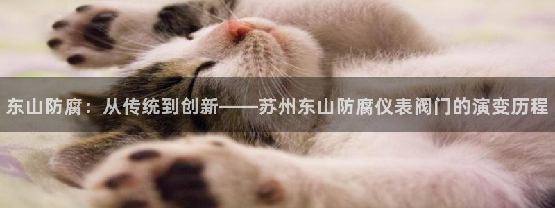 新宝gg下载