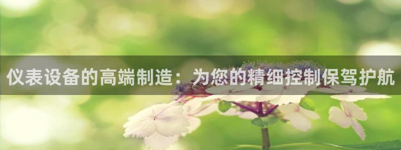新宝gg属于
