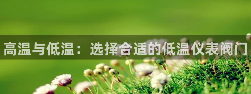 新宝gg挂机app