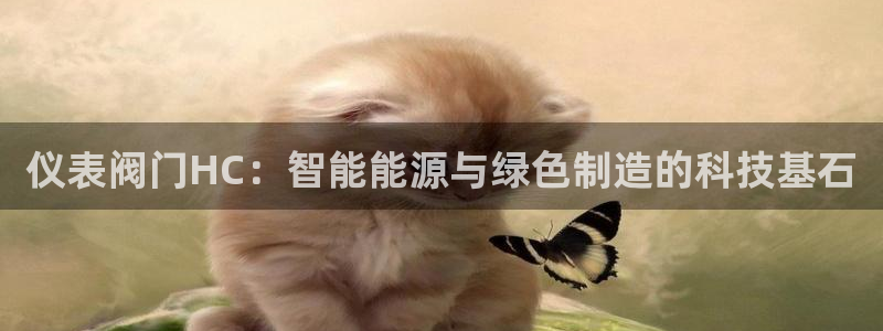 新宝gg开户