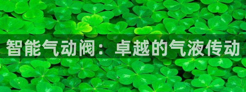 新宝gg是在境外吗