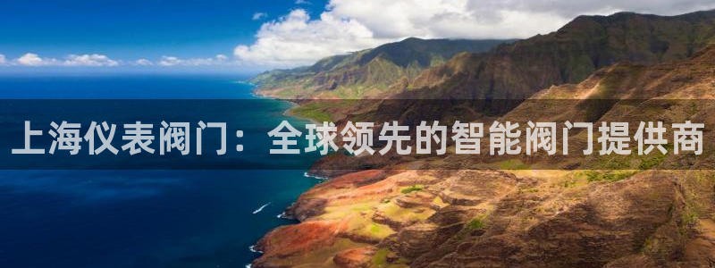 新宝gg代理条件