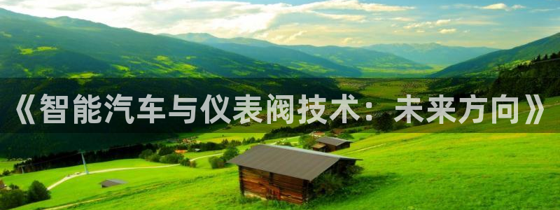 新宝gg—创造