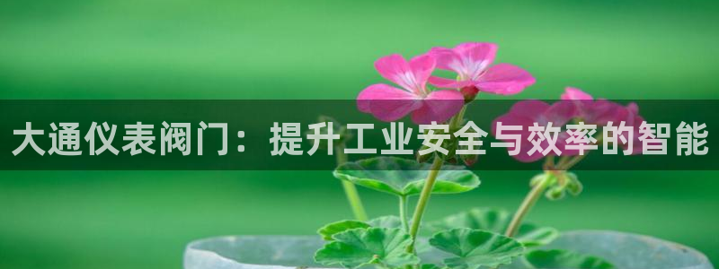 新宝gg首页平台