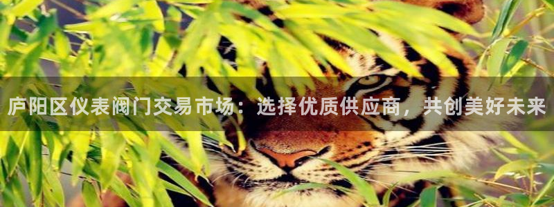 正版新宝gg