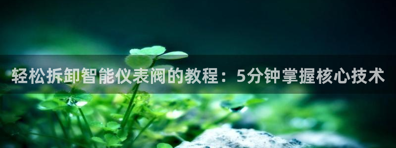 新宝GG国际