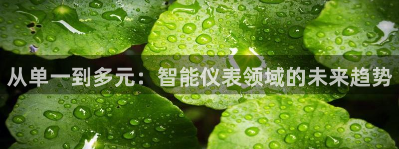 新宝gg走势