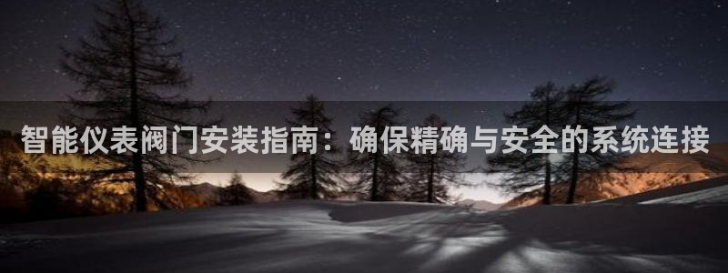 新宝gg返点1956是多少