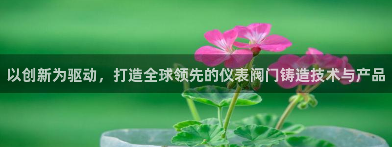新宝gg创建奇迹