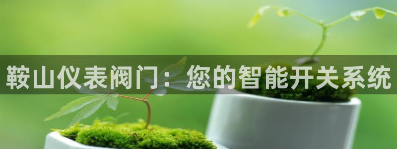 新宝gg主管 9