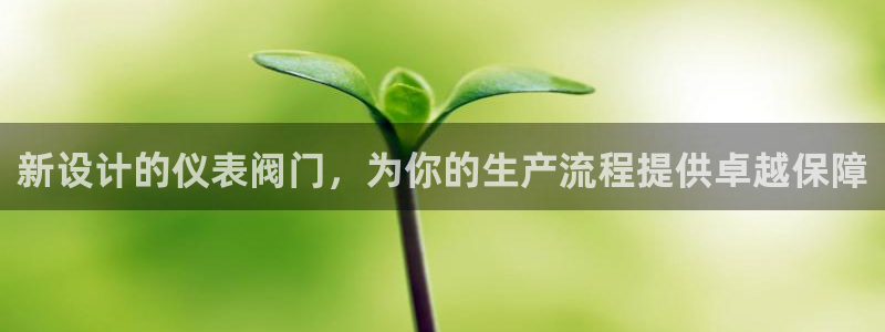 新宝gg下载官网下载
