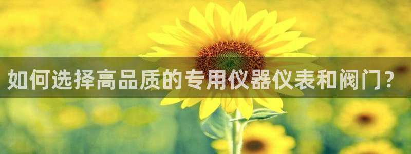 新宝gg计划