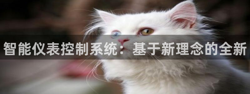 新宝gg一创造奇迹