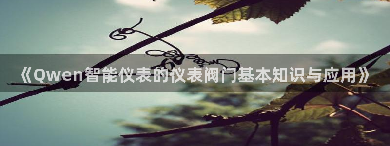 新宝gg咨询55312