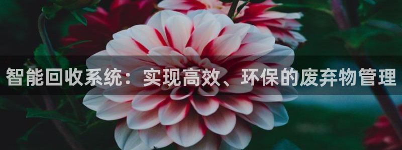 新宝gg传奇