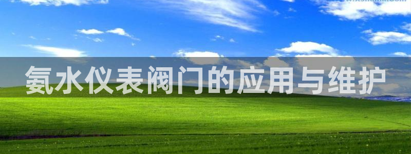 新宝GG玩家