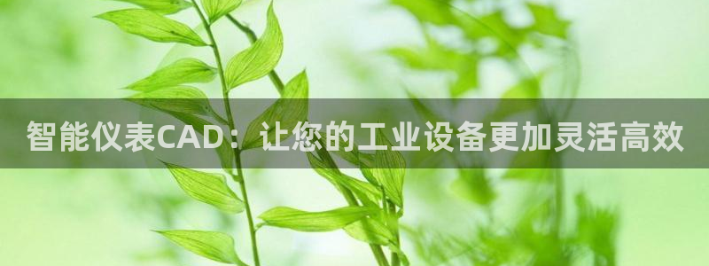 新宝gg计划