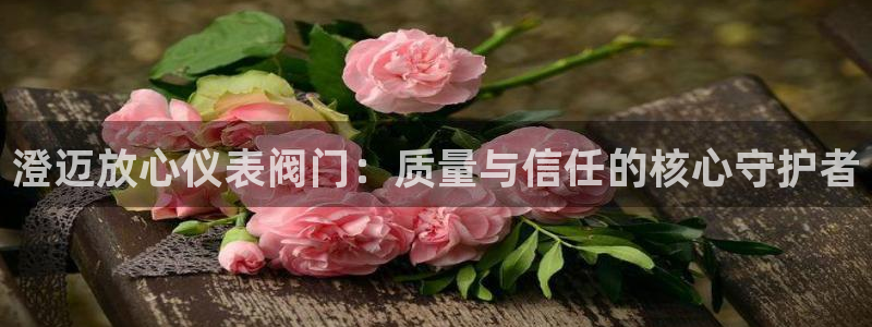 新宝gg主管baidu