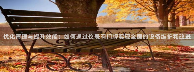 新宝gg开号