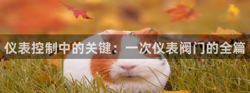 新宝gg创造奇迹 新宝gg