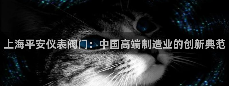 新宝GG无法充值