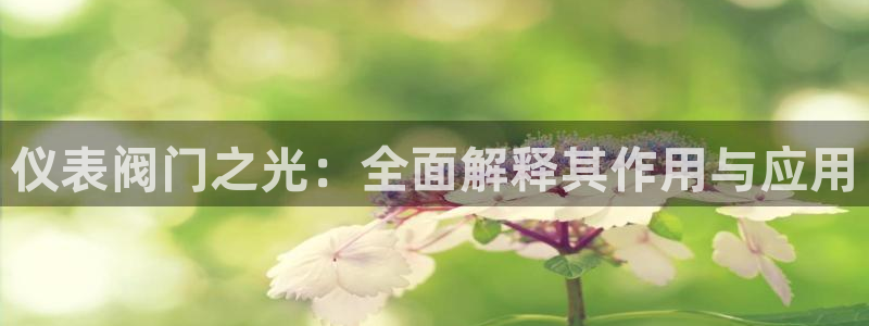 新宝GG桌面