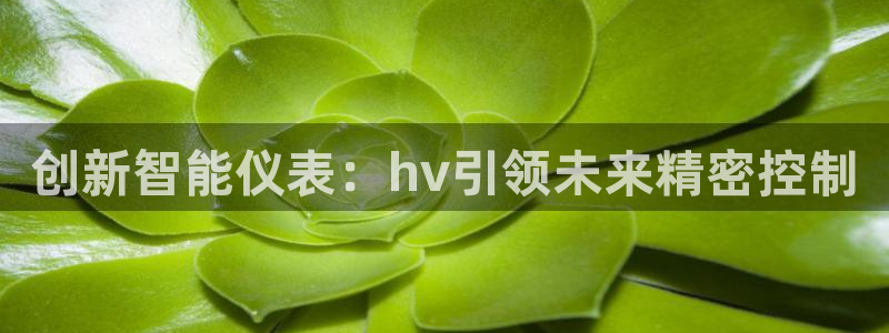 l新宝gg