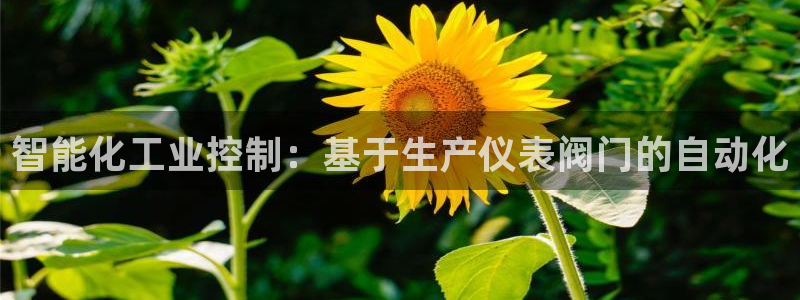 新宝gg网