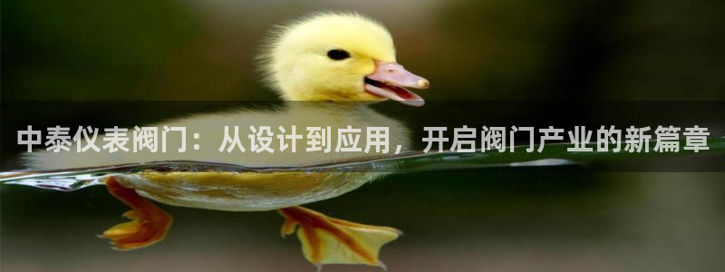 新宝gg维护