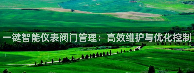 新宝gg介绍