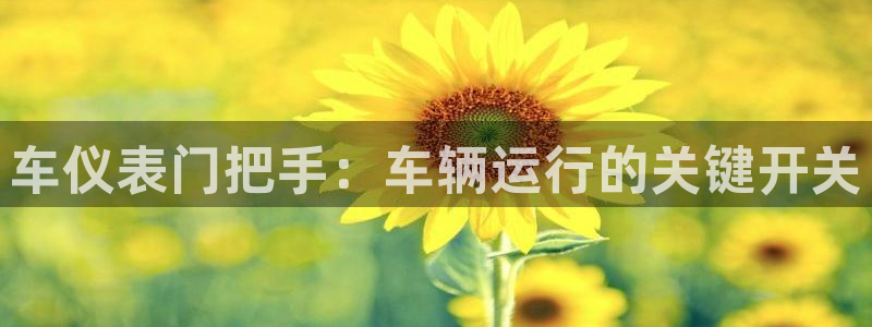 新宝gg 奇迹